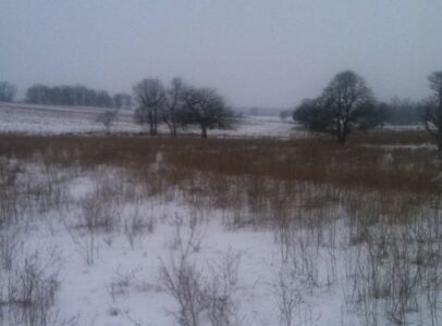 Safely Cut Pond Ice Image
